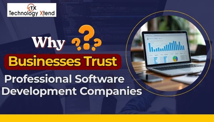 Why Businesses Trust Professional Software Development Companies